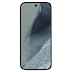 Google Pixel 11 Pro 12/256GB Fog