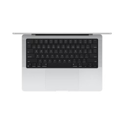 Apple MacBook Pro 14" M4 Max 16c CPU, 40c GPU, 128/2TB, нанотекстурное стекло, серебристый (2024)