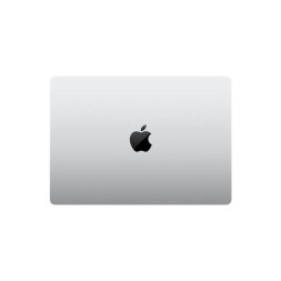 Apple MacBook Pro 14" M4 Max 14c CPU, 32c GPU, 36/1TB серебристый (2024)